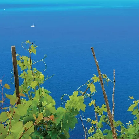 Three-bedroom In Holiday home Loviste